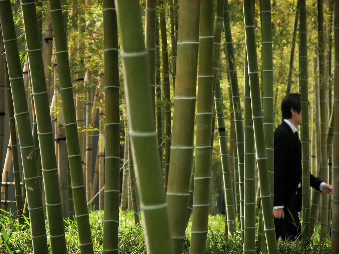 a salaryman in a bamboo garden in Shinagawa