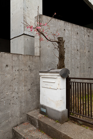 mailbox mailbox in Shibuya ward, Tokyo